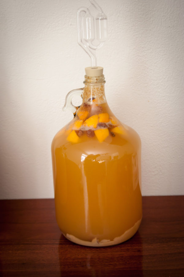 Orange Mead after two weeks of fermenting